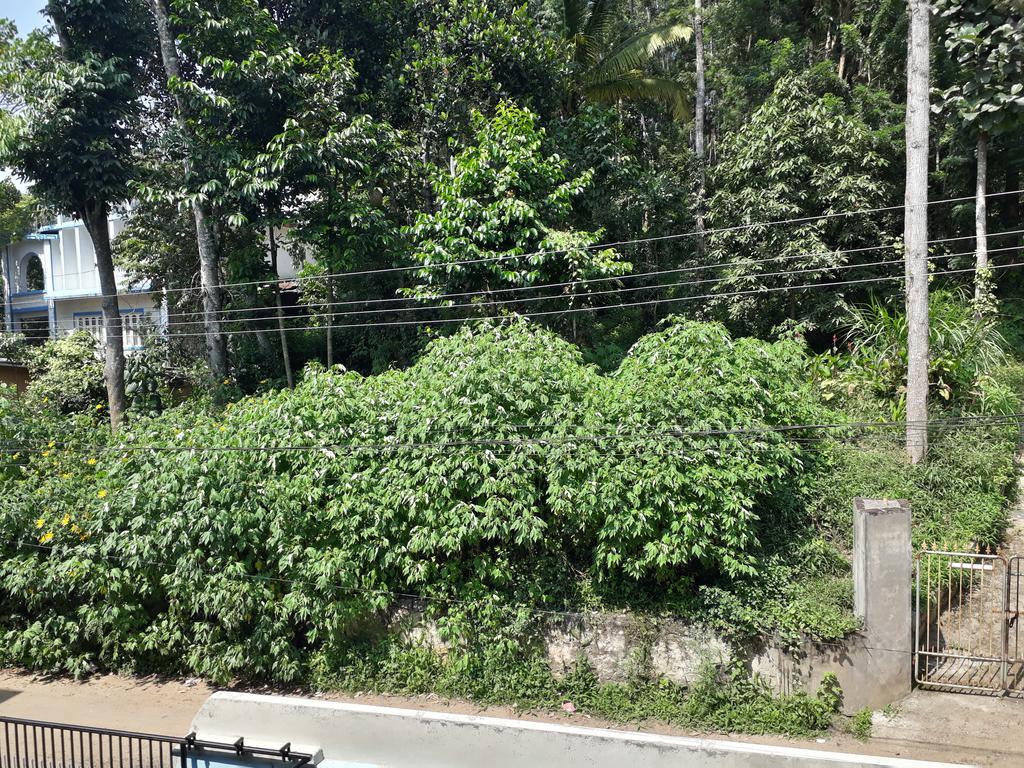 Able Homestay Thekkady Extérieur photo